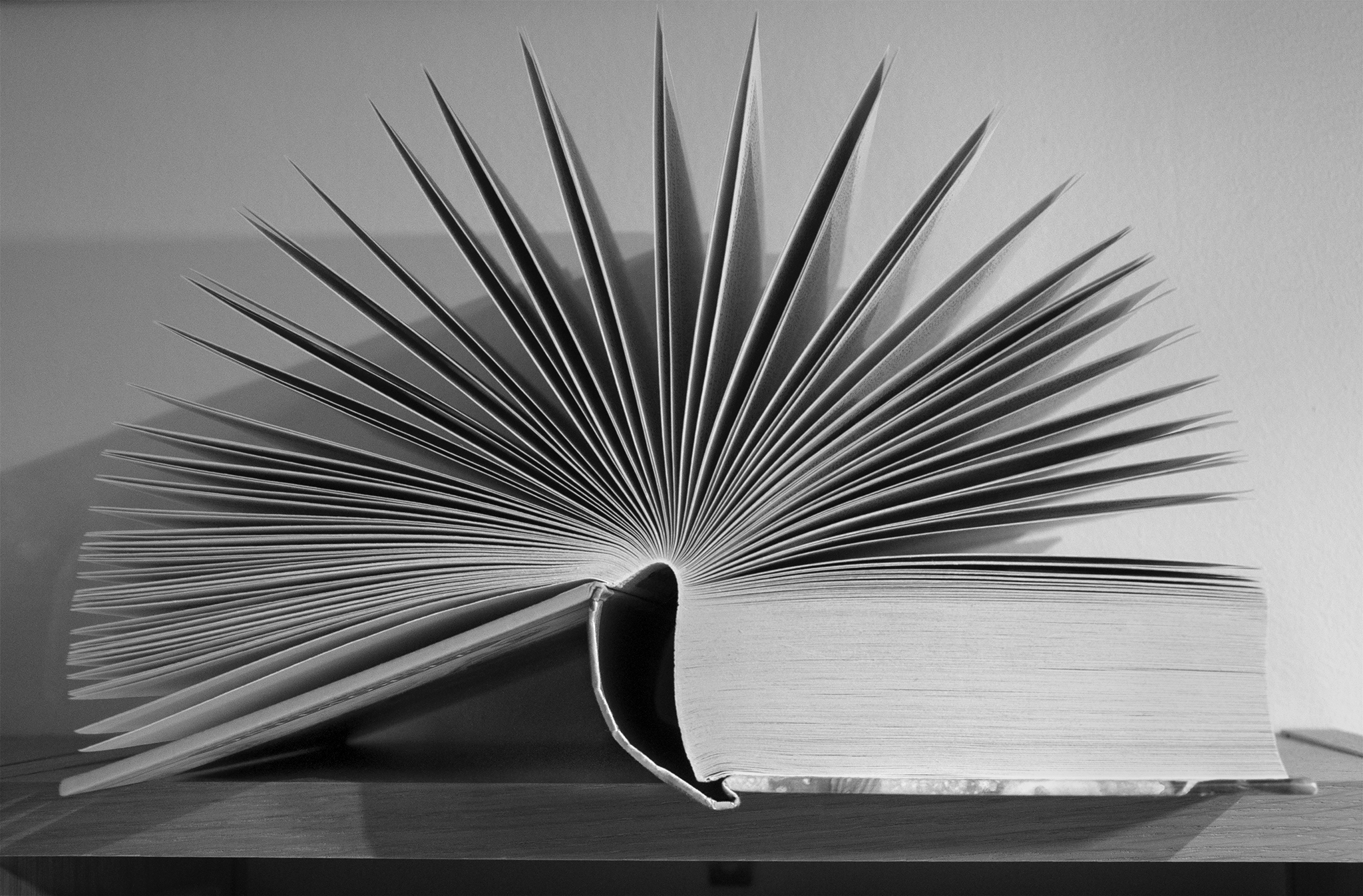 An open book shown from the side, with pages in the form of a fan (Black/White) 