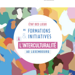 Etat des lieux des formations et initiatives à l'interculturalité au Luxembourg.png