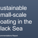 Sustainable Small-scale Boating in the Black Sea