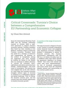 Critical Crossroads: Tunisia’s Choice between a Comprehensive EU Partnership and Economic Collapse